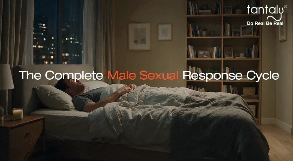 The Complete Male Sexual Response Cycle: A Scientific Explanation from Arousal to Orgasm