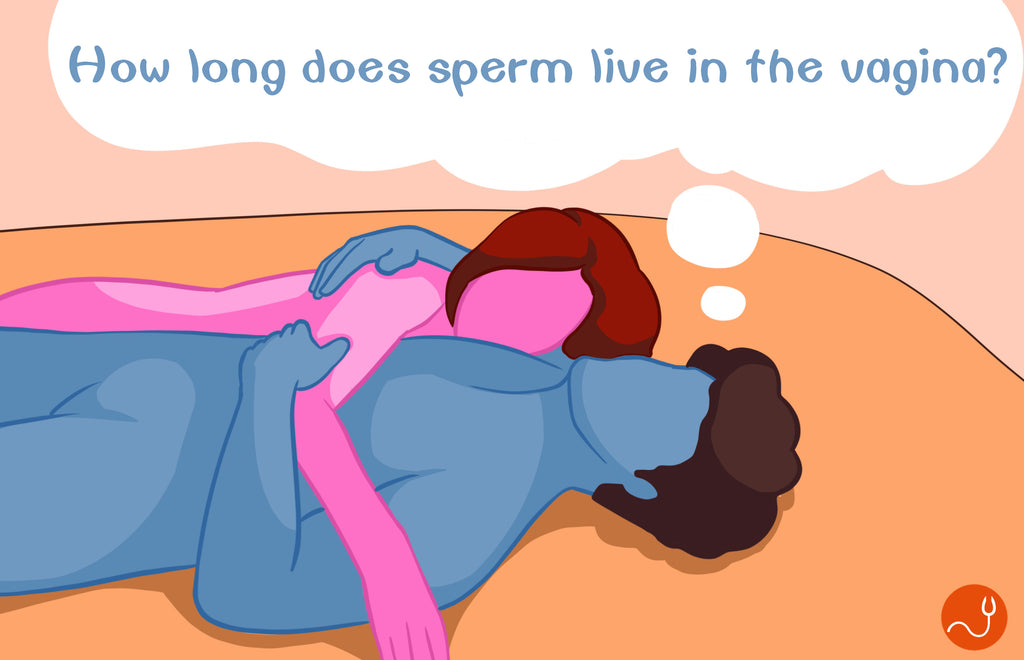 How long does sperm live in the vagina?