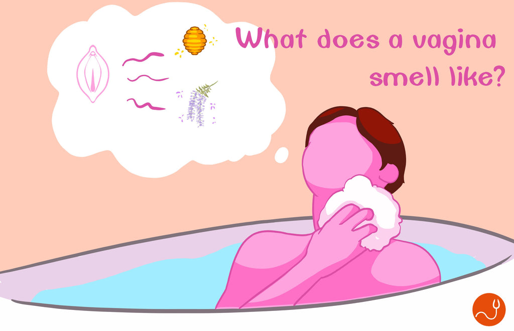 Why Does a Vagina Smell? Normal vs Abnormal Odor Explained