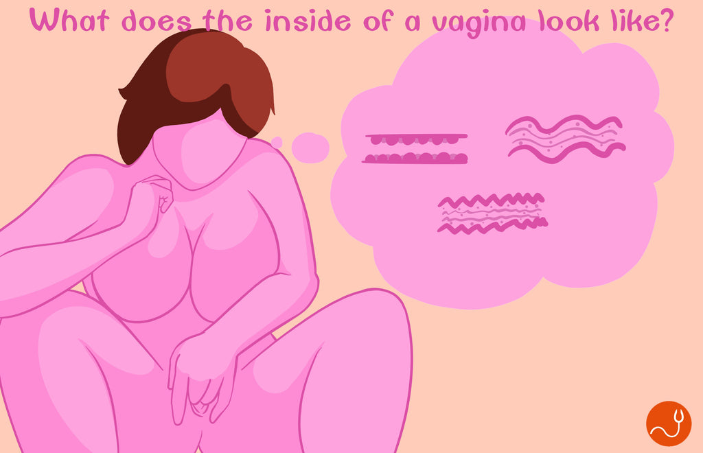 What does the inside of a vagina look like?