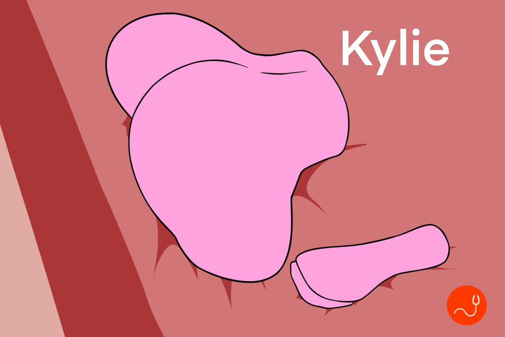 Kylie review by Vasid
