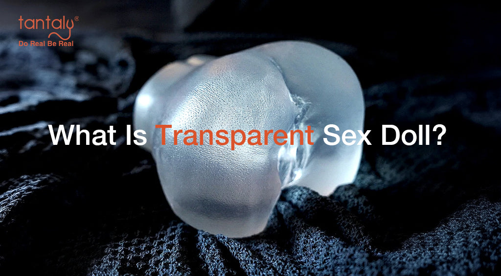 What Is Transparent  Sex Dolls? A See-Through  Torso Guide