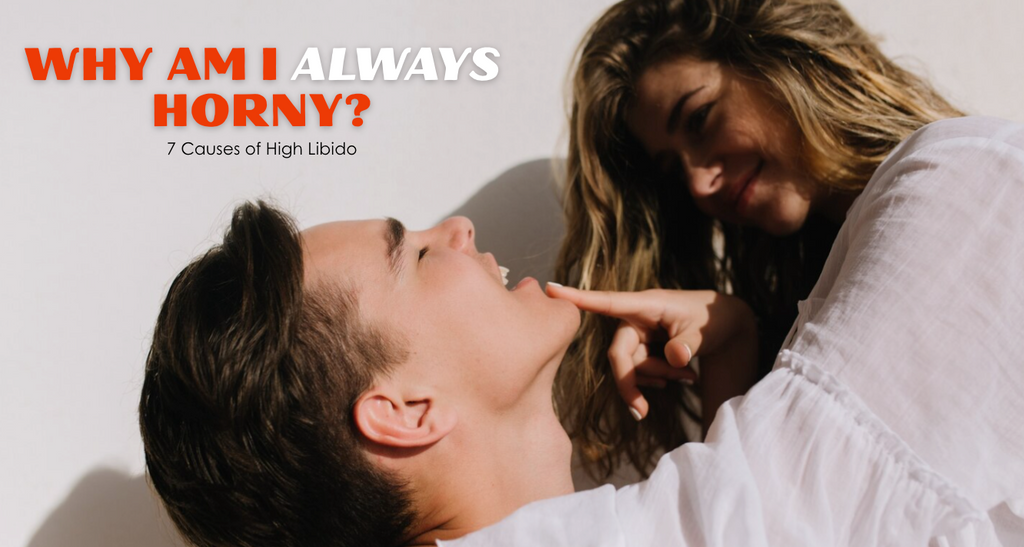 Why Am I Always Horny? 7 Causes of High Libido