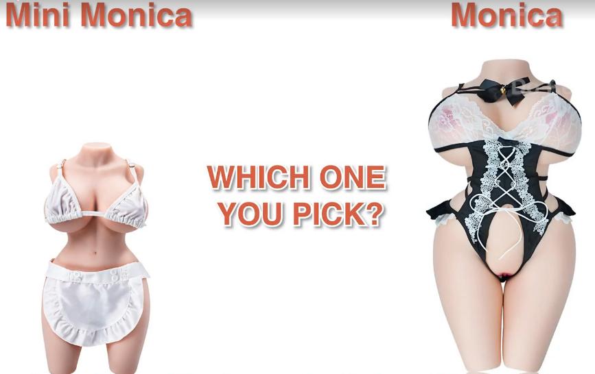 Mini Monica vs. Monica 2.0: Key Design Differences