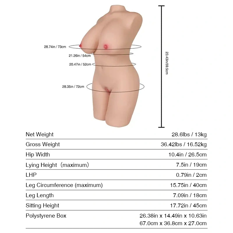 T634 Sex Doll_Doll Measurements